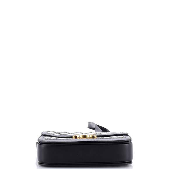 Celine Triomphe Shoulder Bag Canvas #184653C23B - Picture 5 of 9